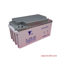 天能電池-鄭州正大新能源有限公司廠家直銷