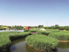 臨港濕地公園：“環?！薄邦佒怠奔嫒莶⑿?/></a>　　臨港生態濕地公園　　由天津港保稅區管委會作為執行機構的亞洲開發銀行貸款項目天津海河河口地區污染控制與生態恢復項目近期完成貸款賬戶清戶，其中，濕地生態恢復子項目建設了63公頃臨港生態濕地公園(一期)，具備污水處理、生態恢復和景觀...<a href=